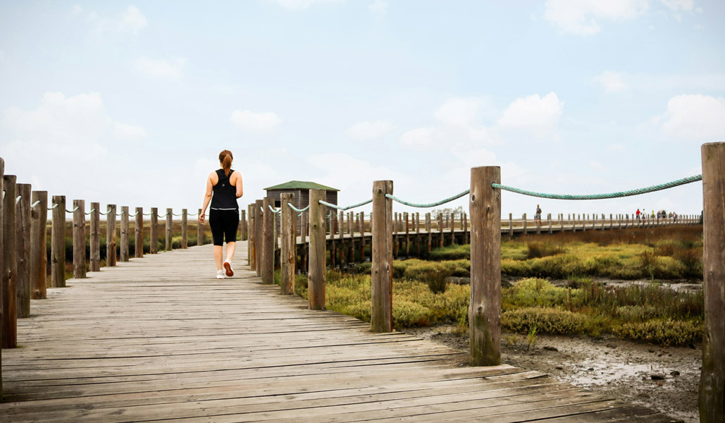 Imagem Freguesia Cacia